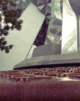 Tomorrow's Fountain