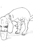 Poopin' Dogs Coloring Book
