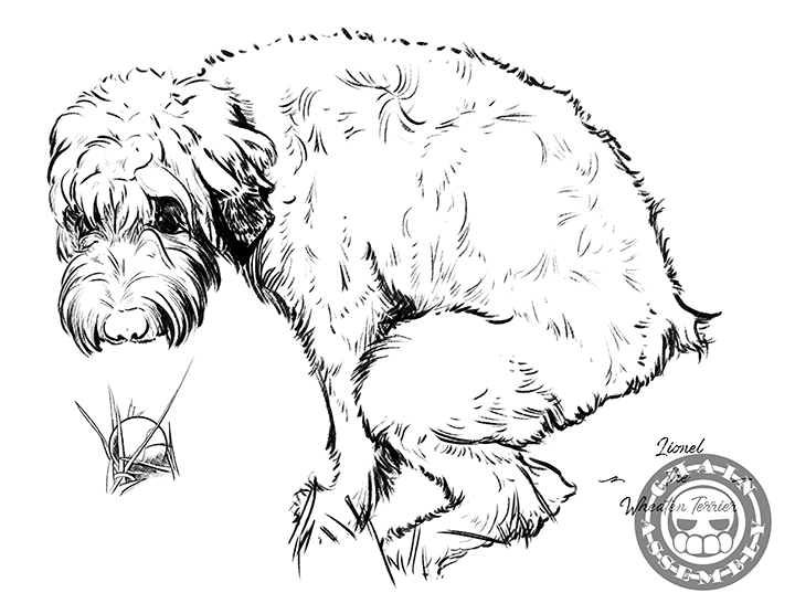 Poopin' Dogs Coloring Book