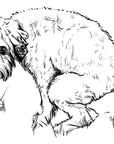 Poopin' Dogs Coloring Book