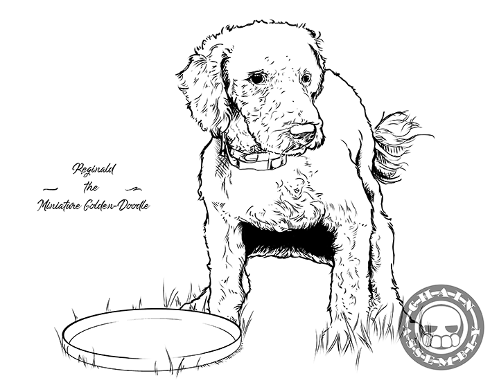 Poopin' Dogs Coloring Book