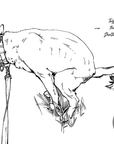 Poopin' Dogs Coloring Book