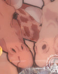 "Giraffes", Limited Edition Dyemax Disc