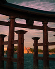 Torii Sunset