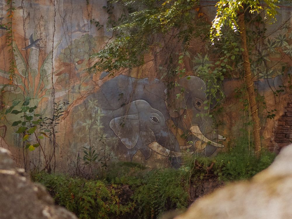 Remnants of the Maharajah
